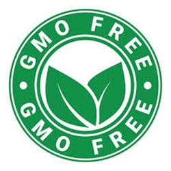 Dentolyn-GMO-free